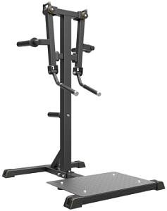 Дельтовидные стоя Impulse IFP1103 | Aerofit Professional | aero-fitnes.ru