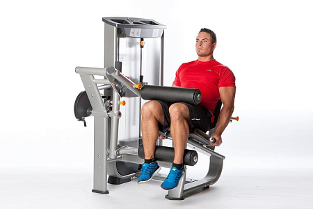 Сгибание ног сидя Inotec NL6 | Aerofit Professional | aero-fitnes.ru