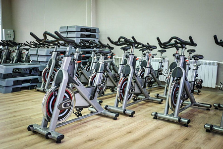 Cайкл-тренажер Impulse PS300E | Aerofit Professional | aero-fitnes.ru