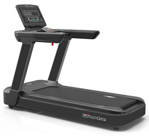 Беговая дорожка Aerofit AC4000 (X5-T LED) | Aerofit Professional | aero-fitnes.ru