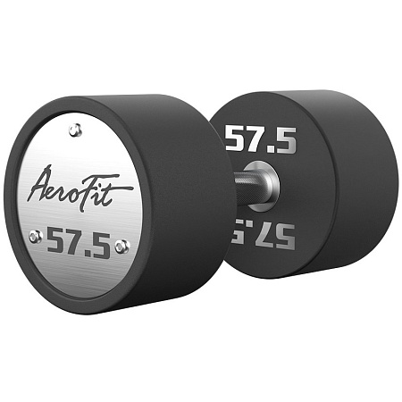 Набор полиуретановых гантелей, 52,5-60 кг, 4 пары AeroFit AFPUDB52,5-60 | Aerofit Professional | aero-fitnes.ru
