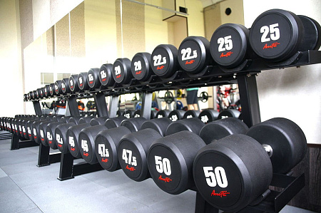 Набор обрезиненных гантелей Aerofit 2,5-25 кг (10 пар) | Aerofit Professional | aero-fitnes.ru